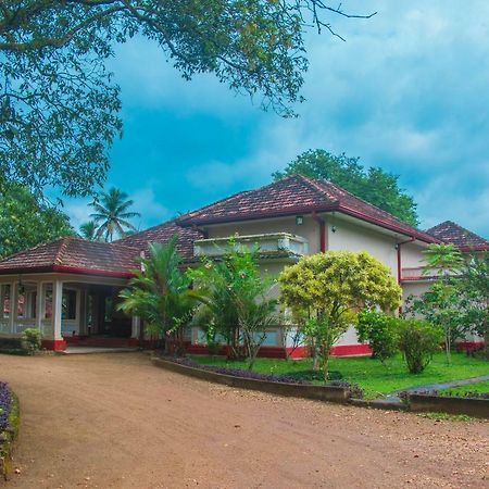 Randiyaepiliyagoda Resort Avissawella Exteriér fotografie
