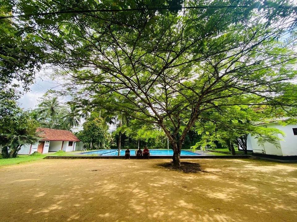Randiyaepiliyagoda Resort Avissawella Exteriér fotografie