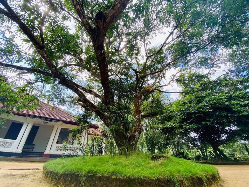 Randiyaepiliyagoda Resort Avissawella Exteriér fotografie