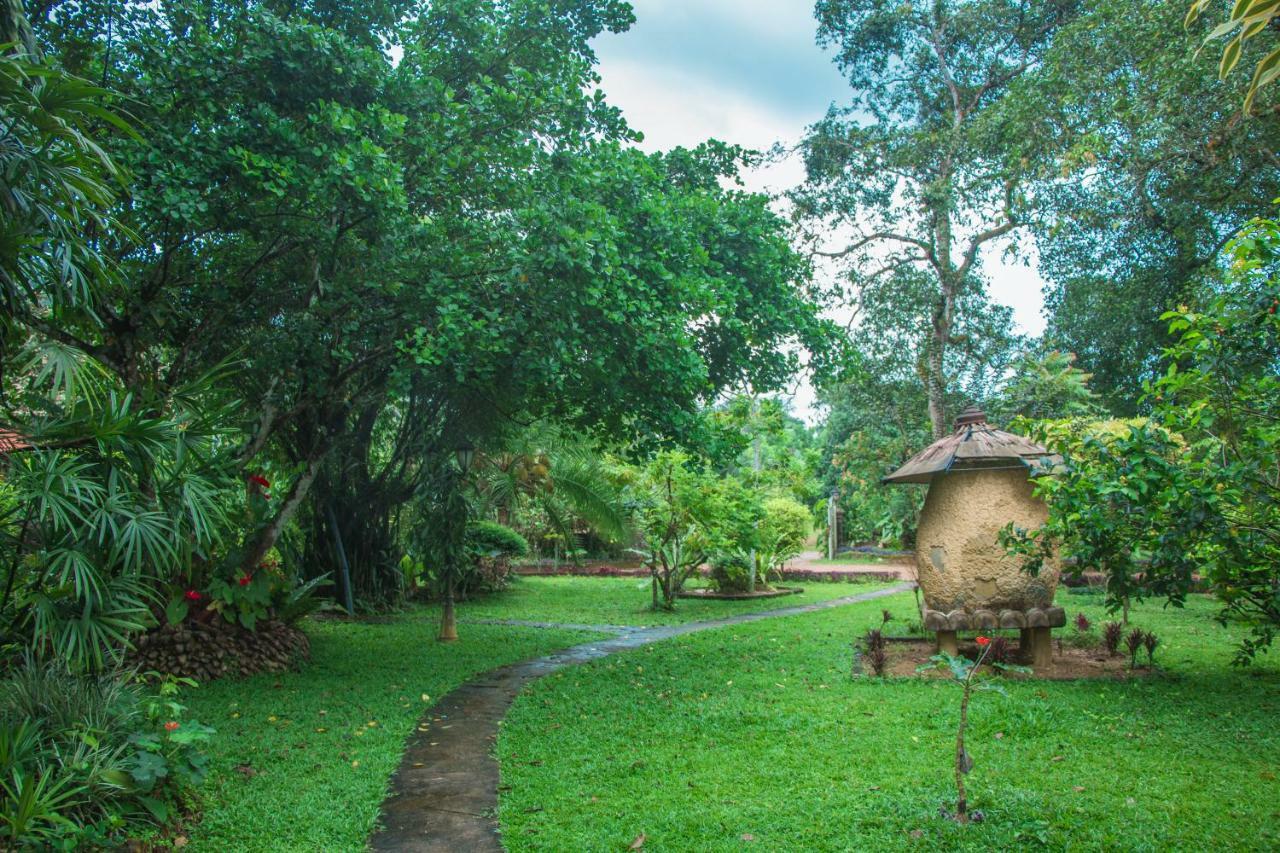 Randiyaepiliyagoda Resort Avissawella Exteriér fotografie