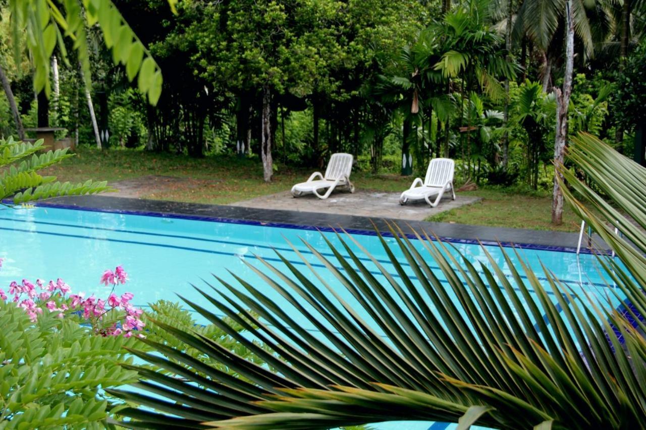 Randiyaepiliyagoda Resort Avissawella Exteriér fotografie